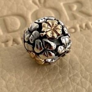 - Pandora charm clover